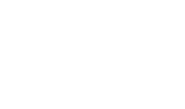 ALS Association logo