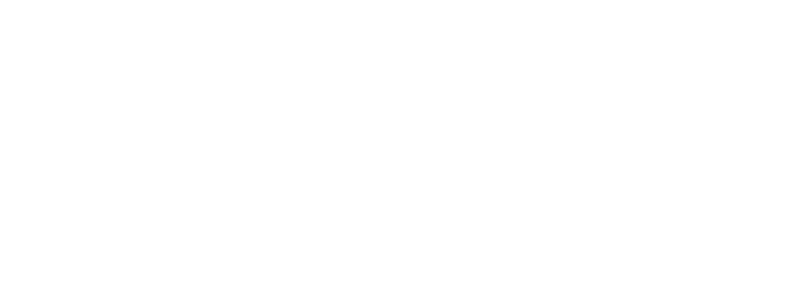 Capital One logo